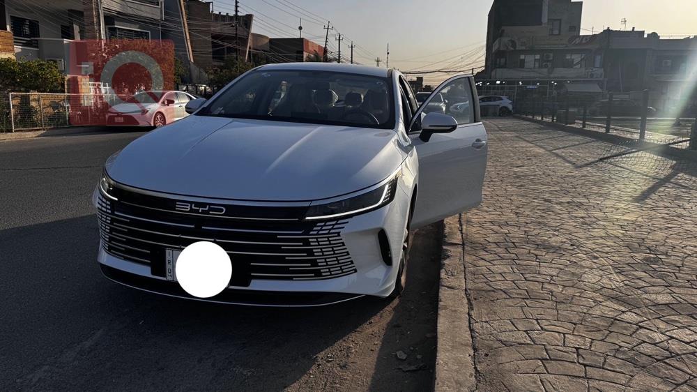BYD Destroyer 05